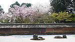 京都风光
