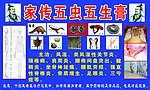五虫五毒