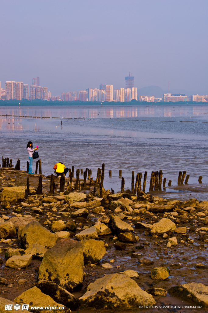 深圳湾