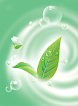 泡泡茶叶