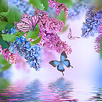 丁香花