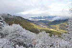 春雪 雪景