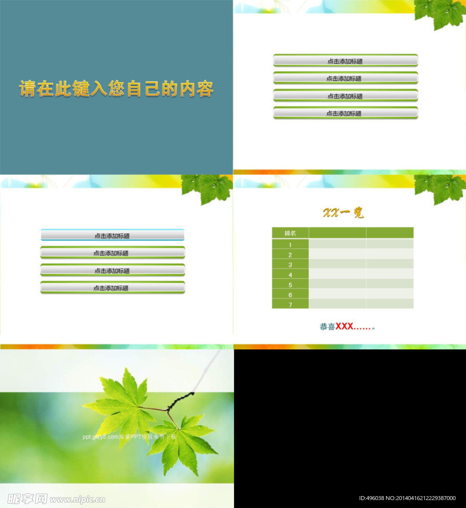 枫树