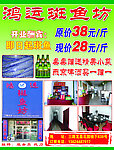 鸿运斑鱼坊