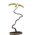 植物模型