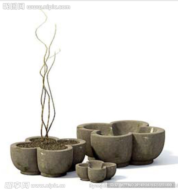 植物模型