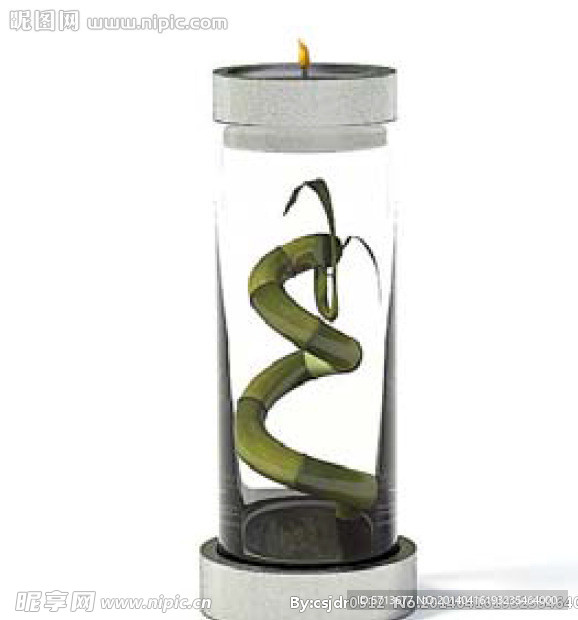 植物模型