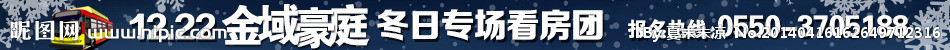 看房团banner