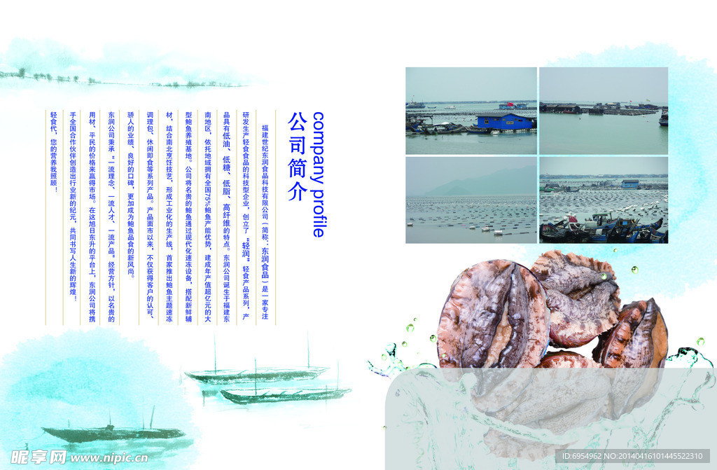 鲍鱼宣传