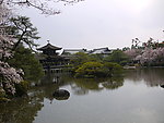 京都风光