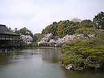 京都风光