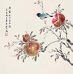 石榴小鸟