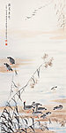 深芦息影