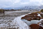 雪中原野