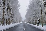 雪中公路