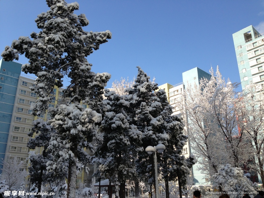 雪后初晴