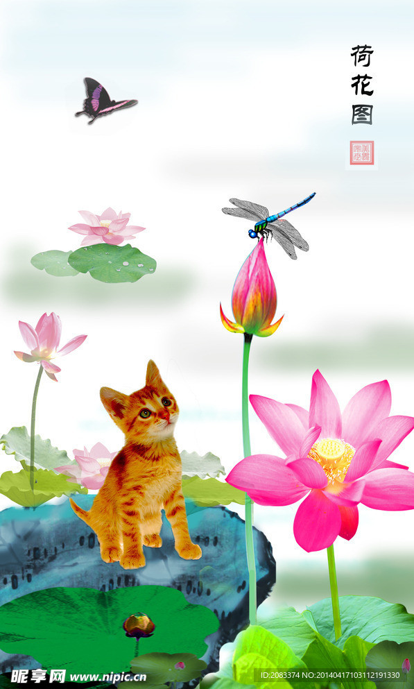 荷花图