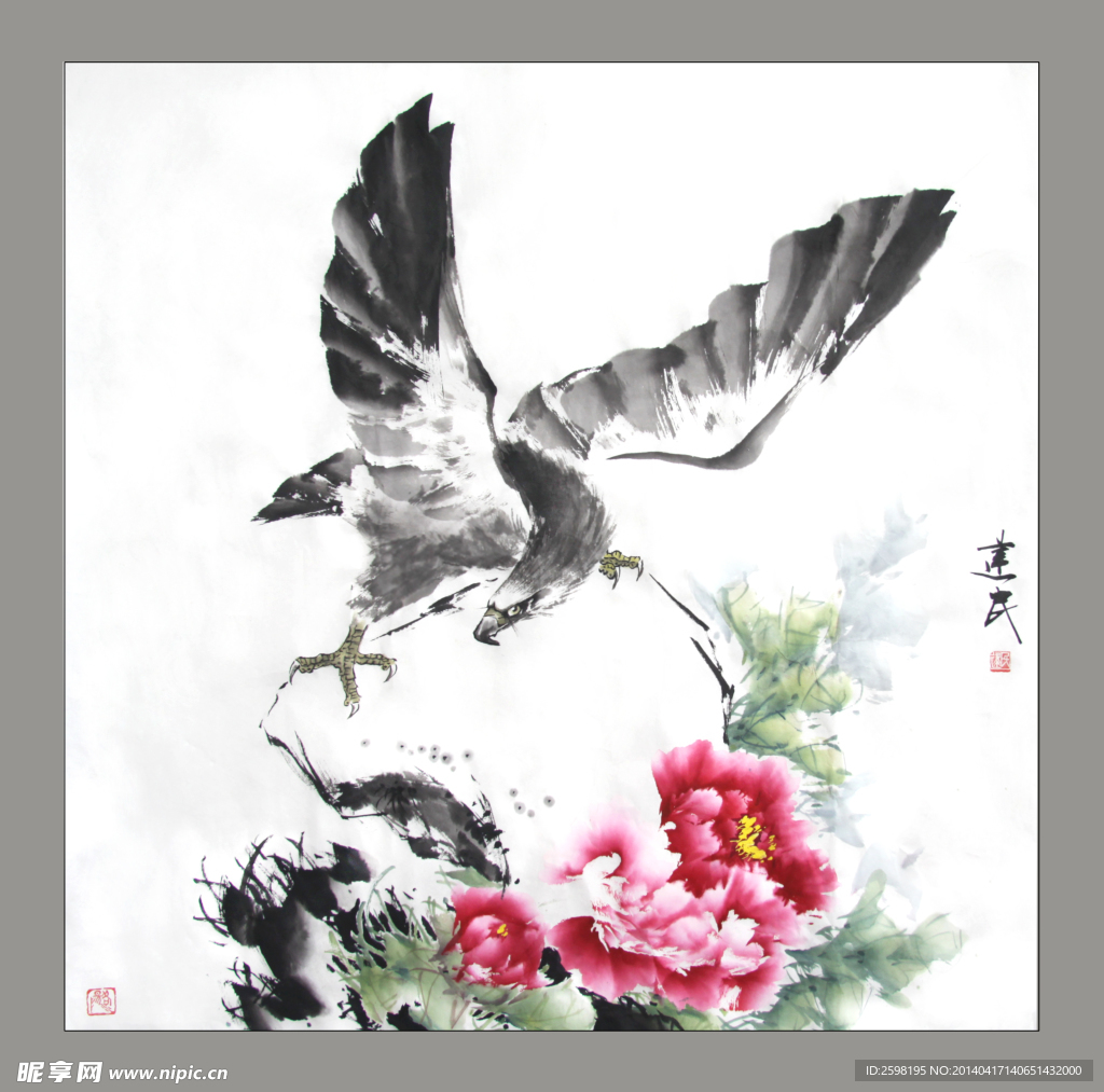 牡丹鹰