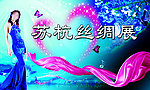 丝绸展