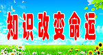 标语展板