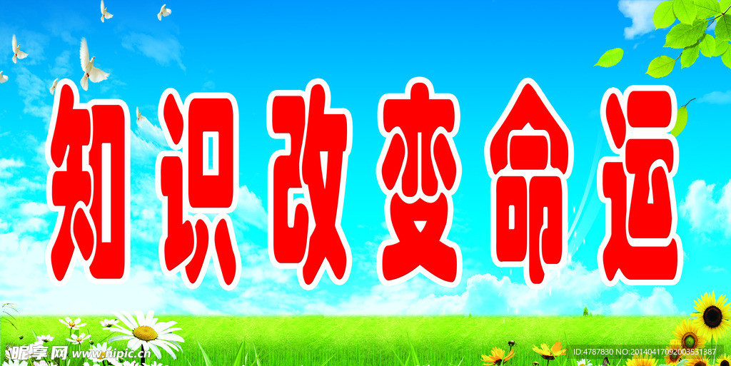 标语展板