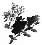 水墨花卉