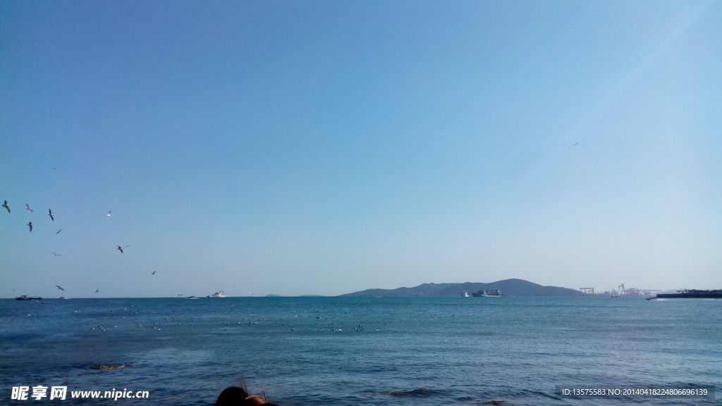 大海