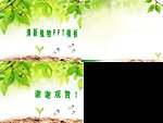 树叶