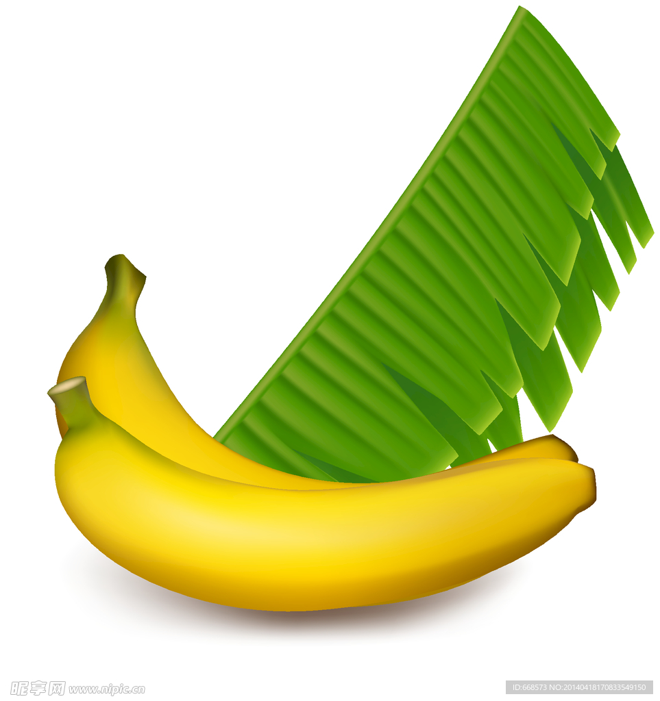 香蕉矢量