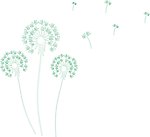 蒲公英