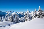 雪景