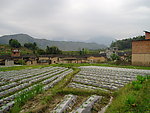 田畈风景