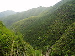 庆元远山