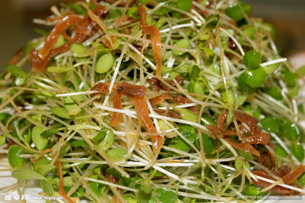 凉菜