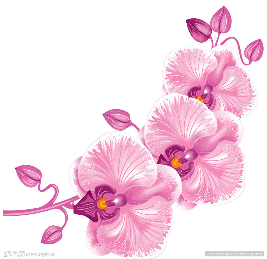 精美花纹