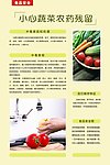 食品安全蔬菜农药残留