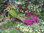 花丛