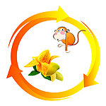 动感箭头 猴子 芒果