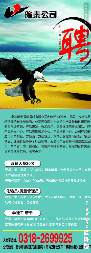 招聘海报