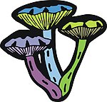蘑菇