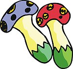 蘑菇