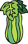 大白菜