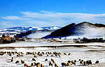 围场坝上风景