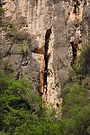 三峡悬棺