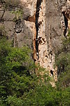 三峡悬棺
