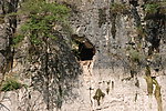 三峡悬棺