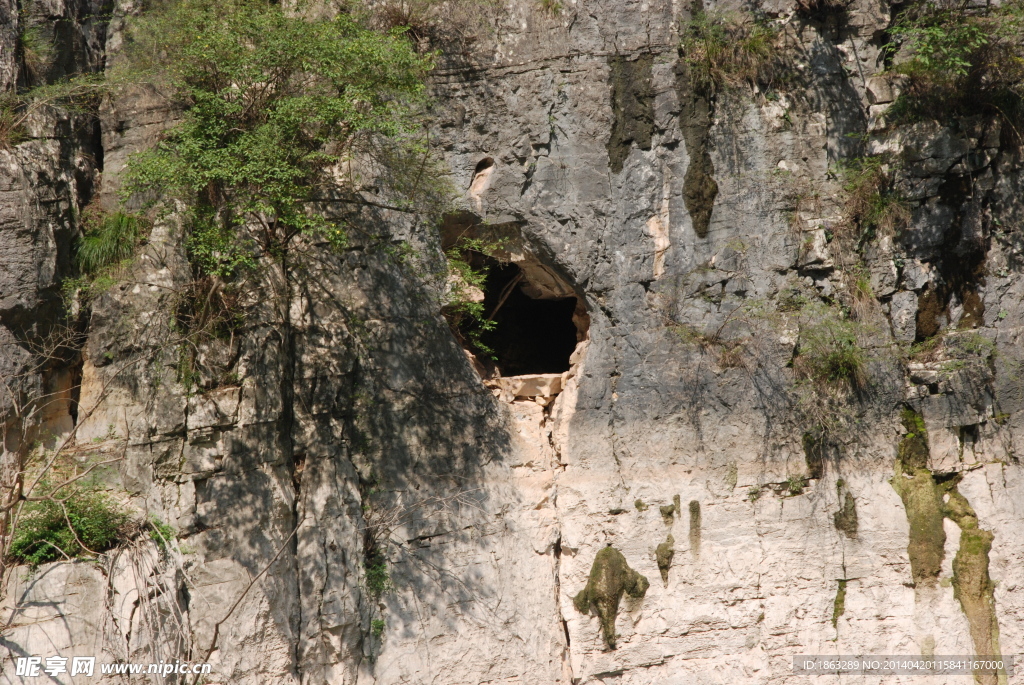 三峡悬棺