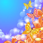 梦幻花卉