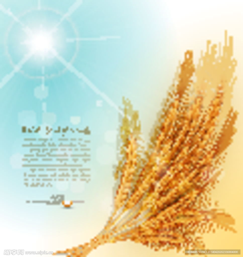小麦粮食麦穗稻子