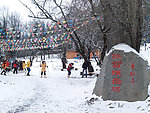 毕棚沟雪景